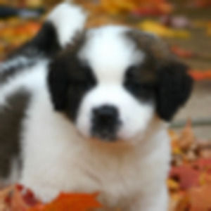 Meet your Posher, Katya